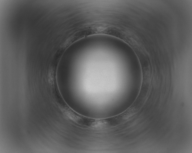 X0000075340274200609081131