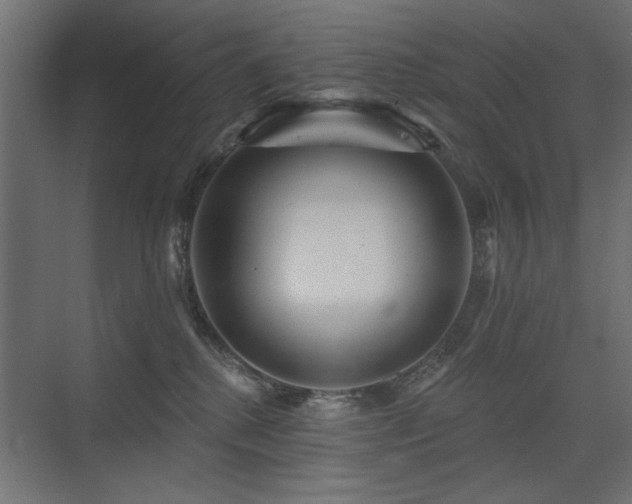X0000075340280200609081131