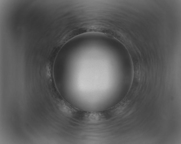 X0000075340282200609081131