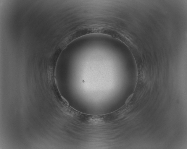X0000075340283200609081131