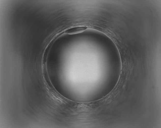 X0000075340290200609081131