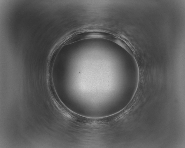 X0000075340293200609081131