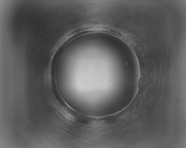 X0000075340296200609081131
