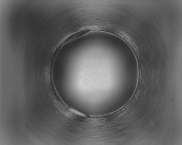 X0000075340297200609081131