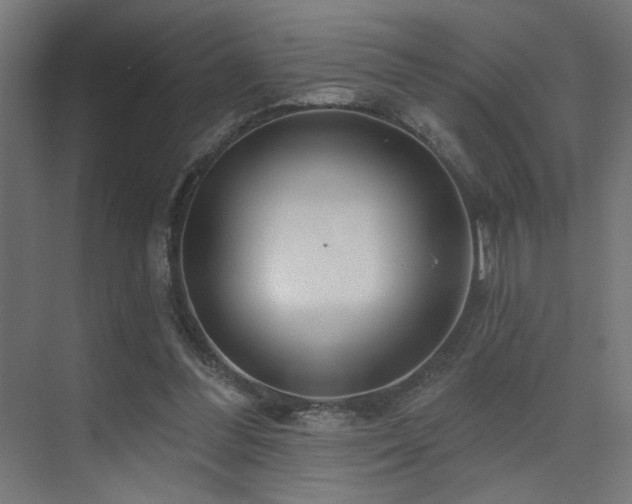 X0000075340300200609081130