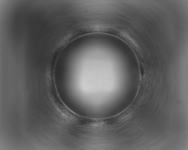 X0000075340306200609081130