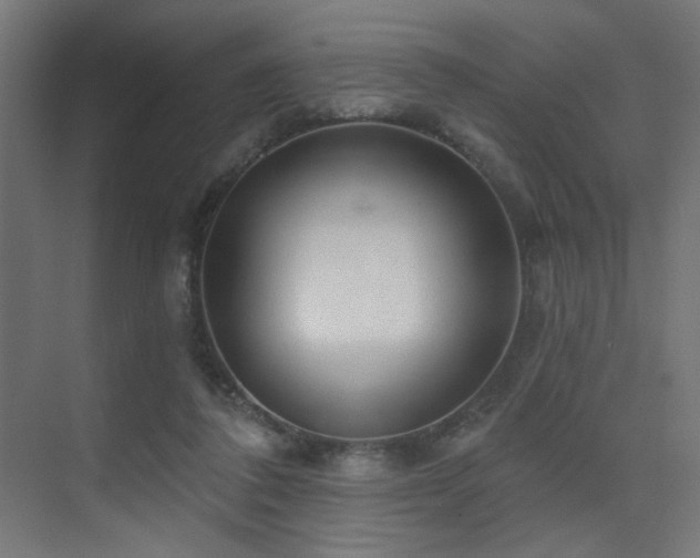 X0000075340308200609081130