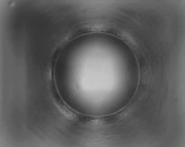 X0000075340310200609081130