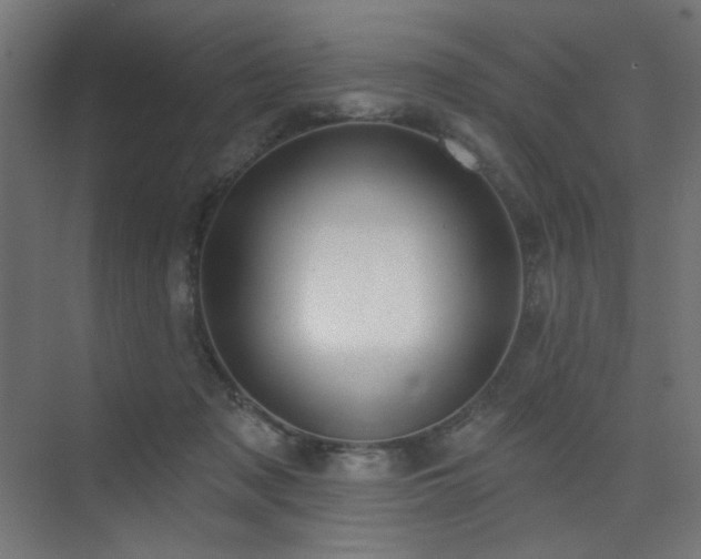 X0000075340317200609081130