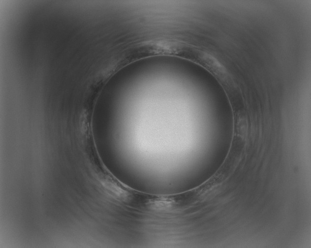 X0000075340318200609081130
