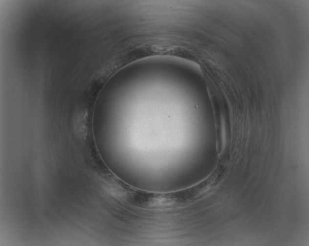 X0000075340319200609081130