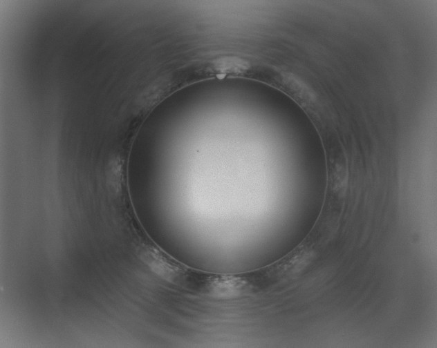 X0000075340321200609081130