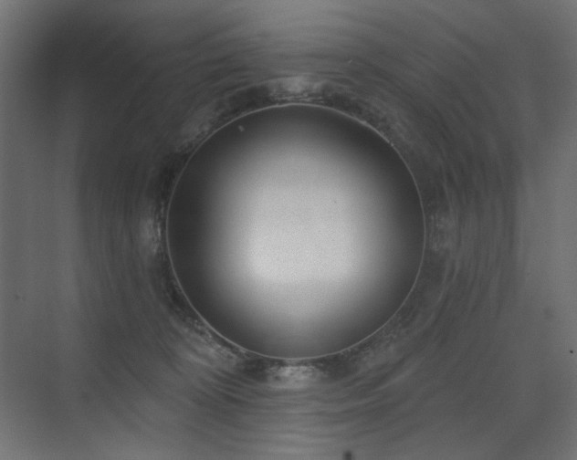 X0000075340324200609081130