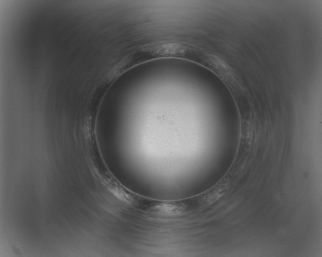X0000075340326200609081130