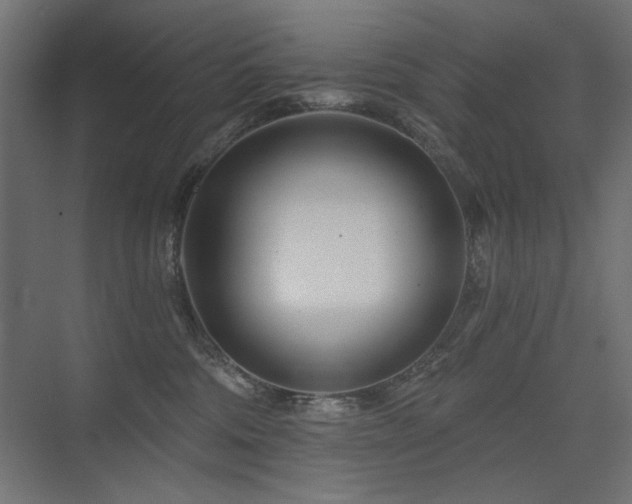 X0000075340330200609081130