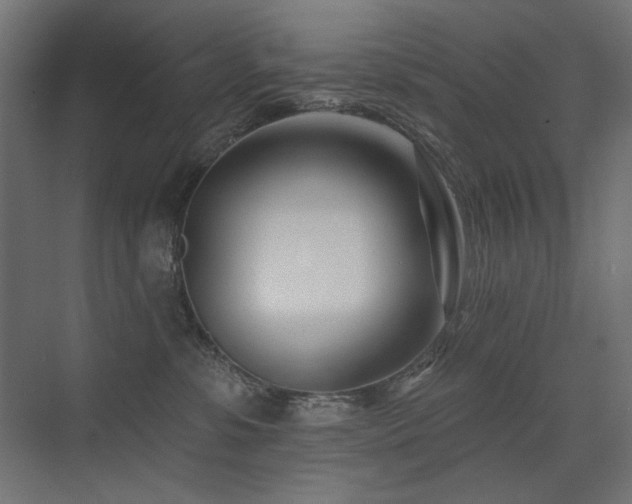 X0000075340331200609081130