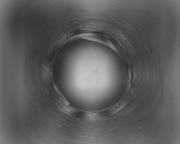 X0000075340333200609081130