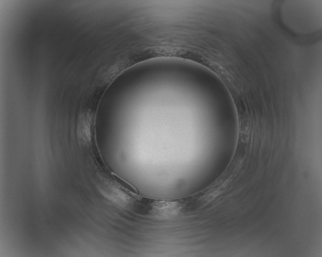 X0000075340334200609081130