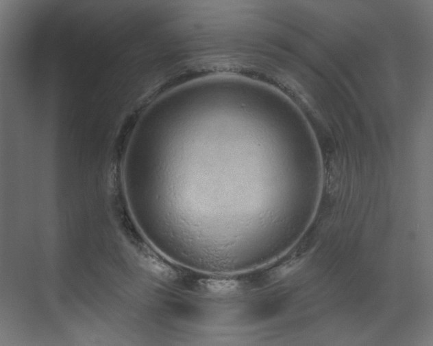 X0000075340355200609081129