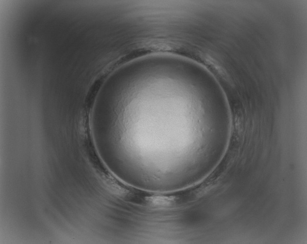 X0000075340359200609081129