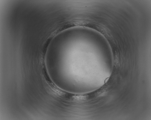 X0000075340367200609081130