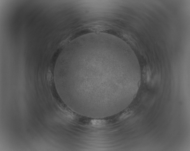 X0000075340371200609081130
