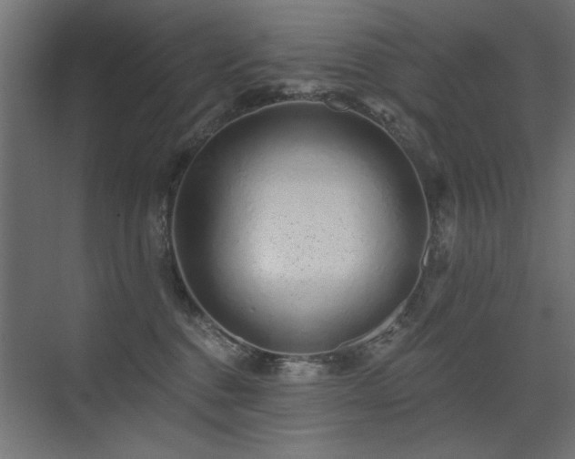 X0000075340376200609081130