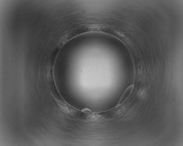 X0000075340379200609081130