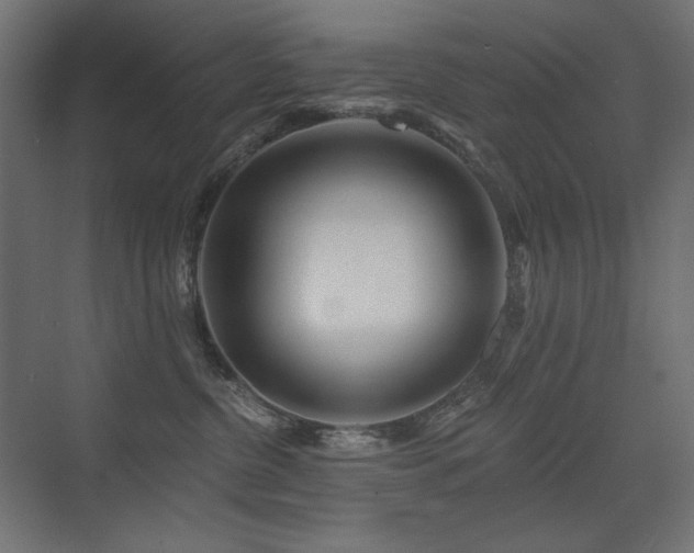 X0000075340380200609081130