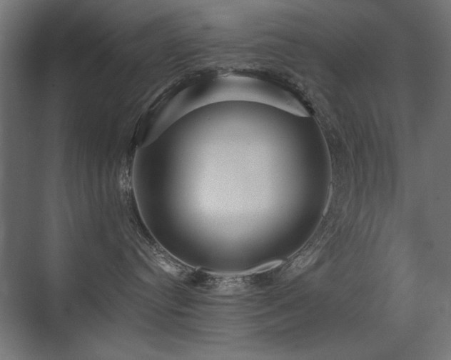X0000075340384200609081130