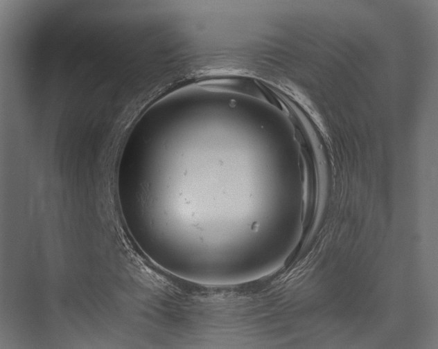 X0000075340385200609081129