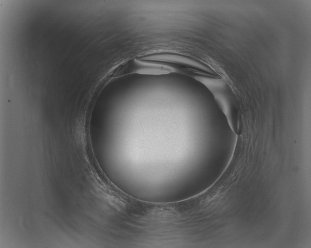 X0000075340386200609081129