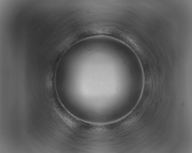 X0000075340402200609081129