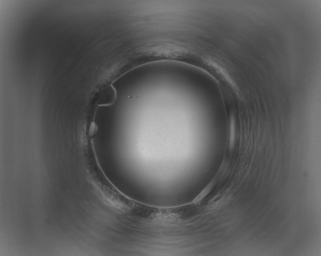 X0000075340403200609081129