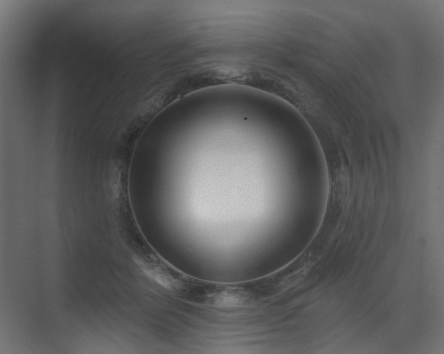 X0000075340412200609081129