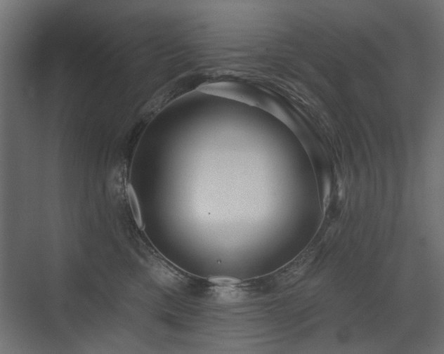 X0000075340425200609081128