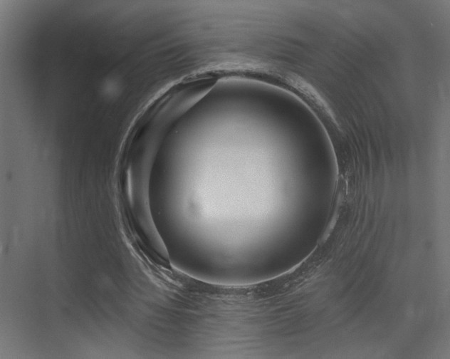 X0000075340436200609081127