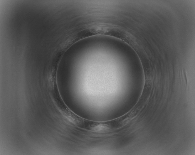 X0000075340460200609081128