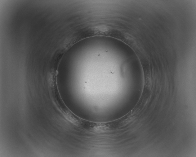 X0000075340468200609081128