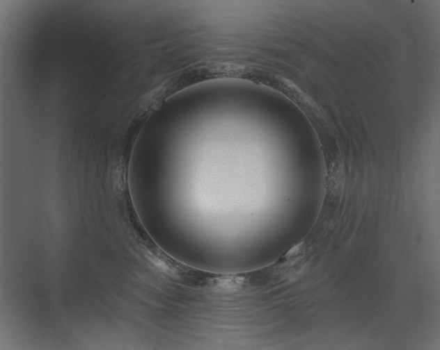 X0000075340474200609081128