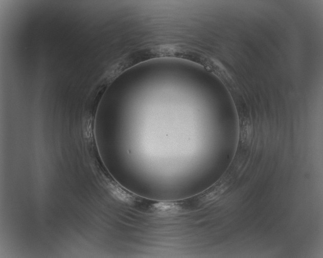 X0000075340477200609081128