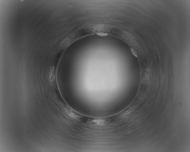 X0000075340478200609081128