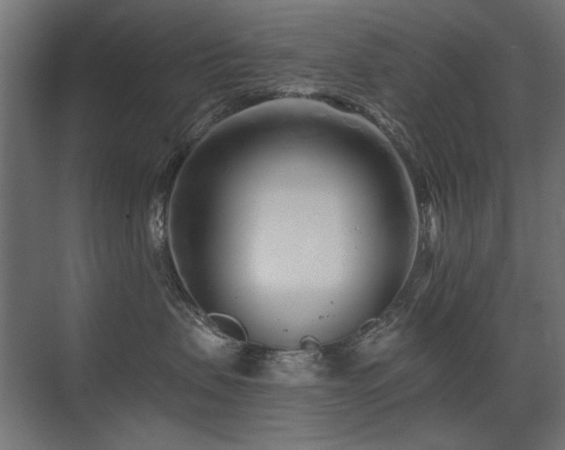 X0000075340479200609081128