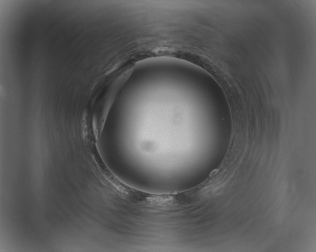 X0000075340480200609081128