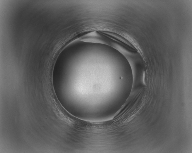 X0000075340481200609081127
