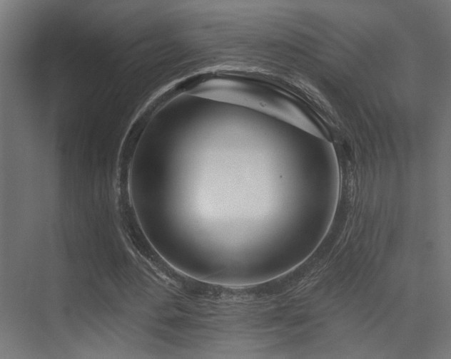 X0000075340484200609081127