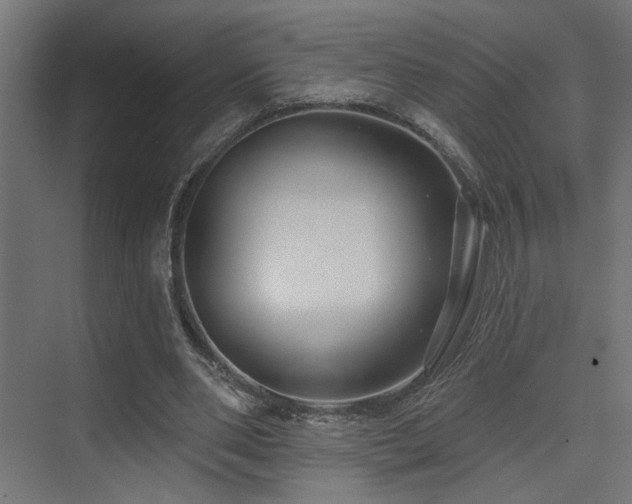 X0000075340486200609081127