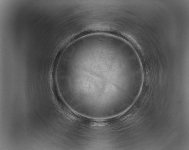 X0000075340487200609081127