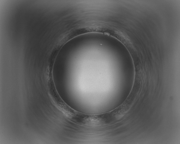 X0000075340498200609081127