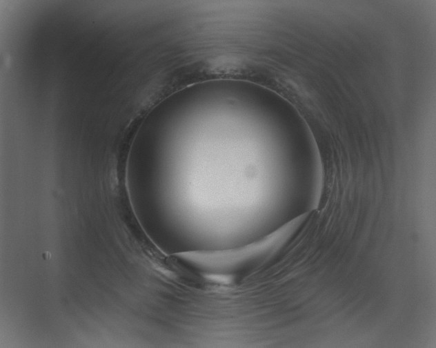 X0000075340508200609081127